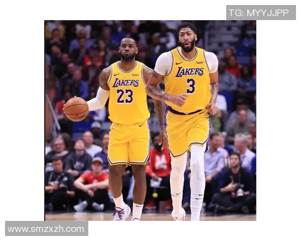 詹姆斯与戴维斯精彩对决视频回顾分析全场亮点与精彩瞬间分享