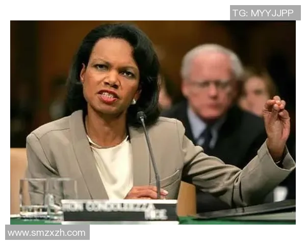 赖斯在国际关系中的新角色与影响力分析及其对未来局势的启示